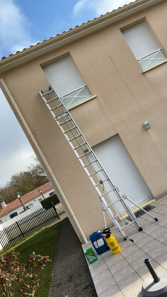 Bordure zinc — installation — Les Maîtres du Tapis France
