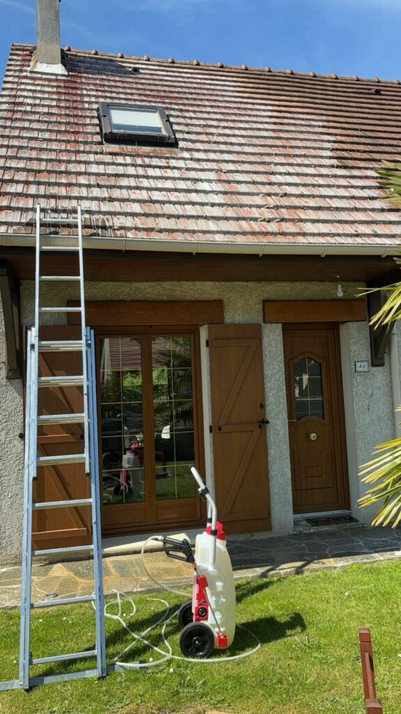 Intervention tapis — maison françaisese — Les Maîtres du Tapis France